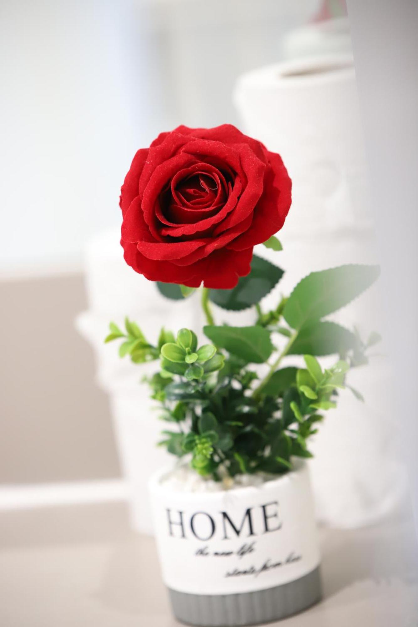 Spacious 3-Story Retreat With Rooftop Terrace And Modern Amenities London Eksteriør bilde